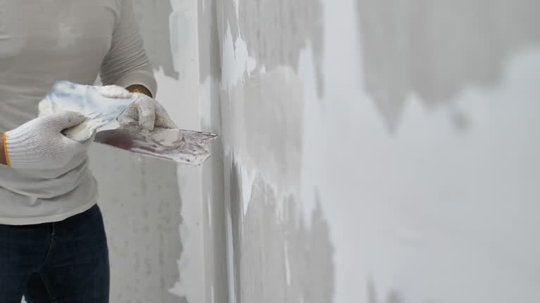  Windsor, IL Dry wall and painting Pros