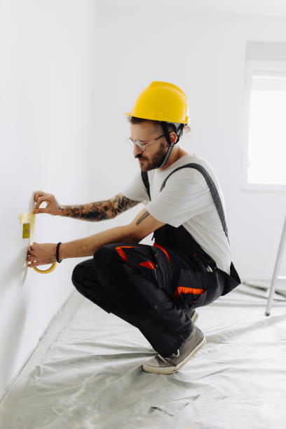 Best Fire-Damaged Drywall Repair  in Windsor, IL