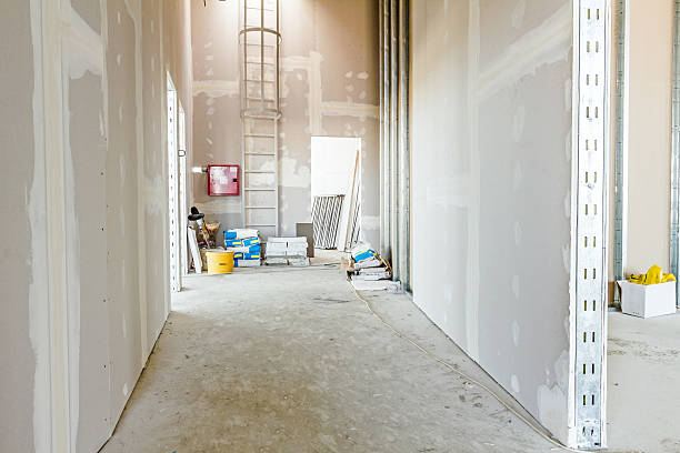 Best Drywall Sanding and Smoothing  in Windsor, IL